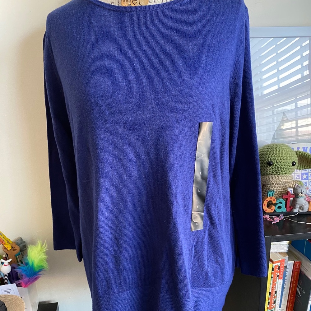Banana Republic Blue-Purple Sweater